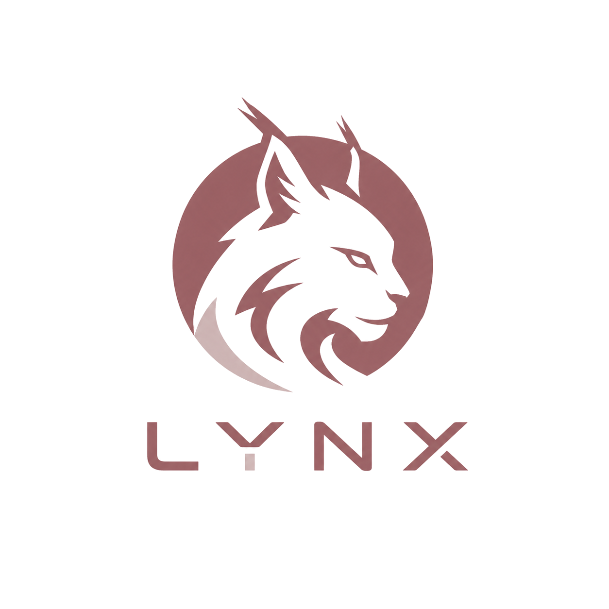 Lynx Extension 图标